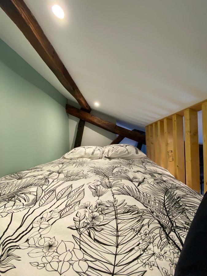 Apartmán Le Donjon : Centre Historique Dijon Exteriér fotografie